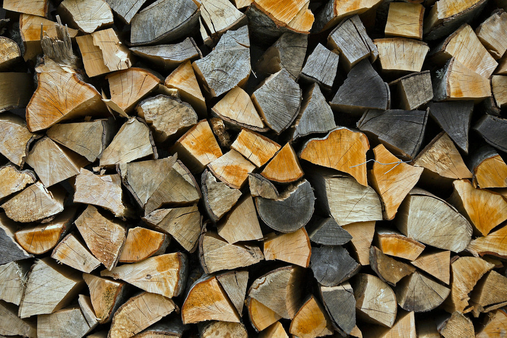 Bûches de bois empilées et séchées montrant les cernes annuels